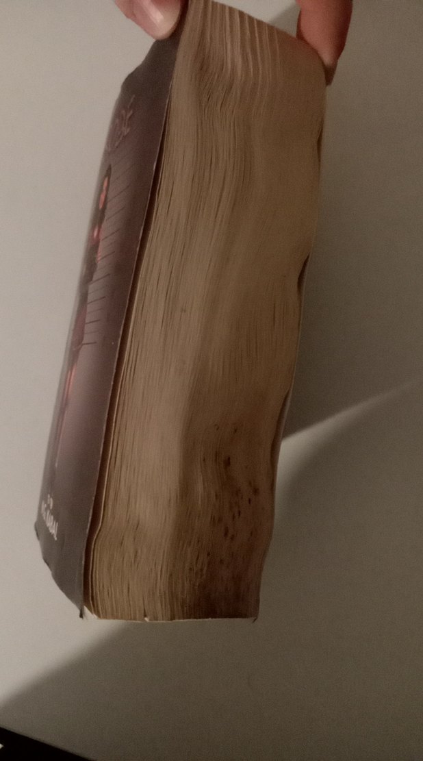 Saklambaç - Sobe N.G. Kabal (CEP BOY) - Görsel 5