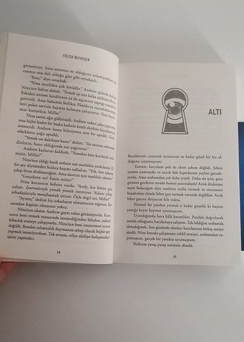 Freida McFadden Hizmetçi Serisi 3 Kitap - Görsel 10