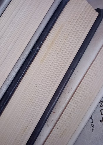 Efsane serisi - Marie Lu - Görsel 15