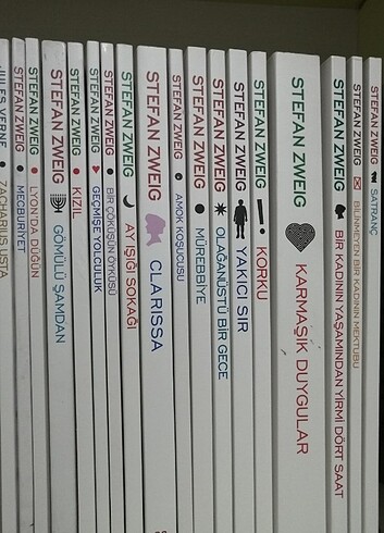  Stefan Zweig dünya klasikleri 17 kitap 