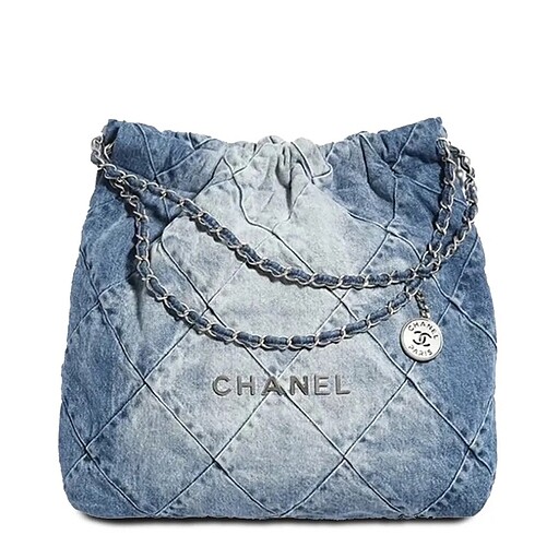 Chanel 22 Small Hobo bag
