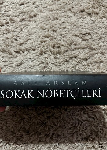 Sokak Nöbetçileri - Aslı Arslan - Görsel 3