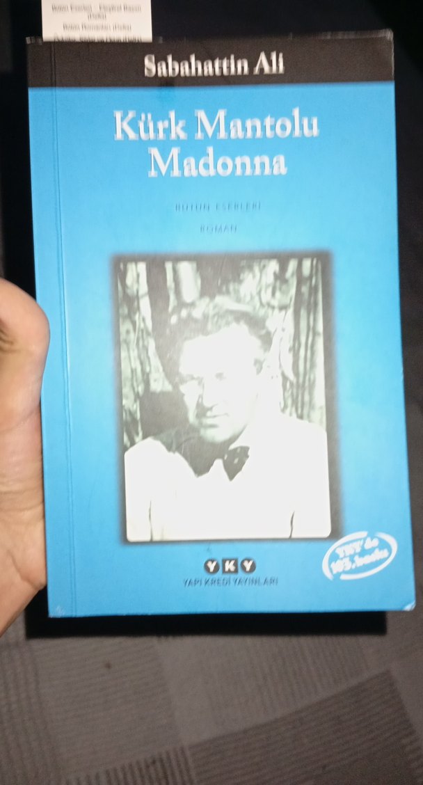 Kürk Mantolu Madonna - Sabahattin Ali - Görsel 2