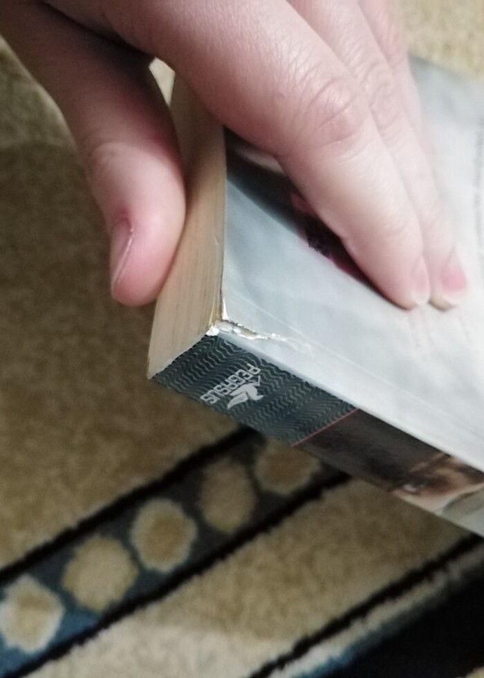 Gayle Forman Eğer yaşarsam - Görsel 3