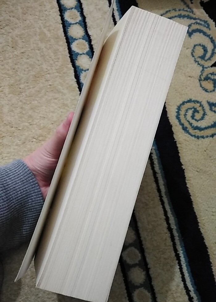 Stephen King Enstitü kitap - Görsel 3