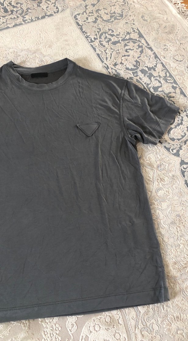 Gri Kısa Kollu Erkek Tişört - Görsel 3