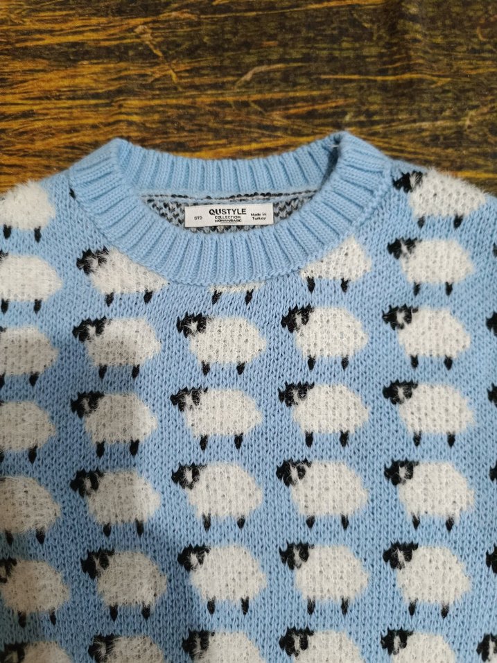 Mavi Nakışlı Örgü Kadın Kazak - Görsel 2