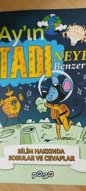 ay ın tadı neye benzer ?