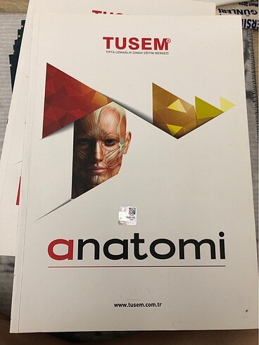 Tusem anatomi