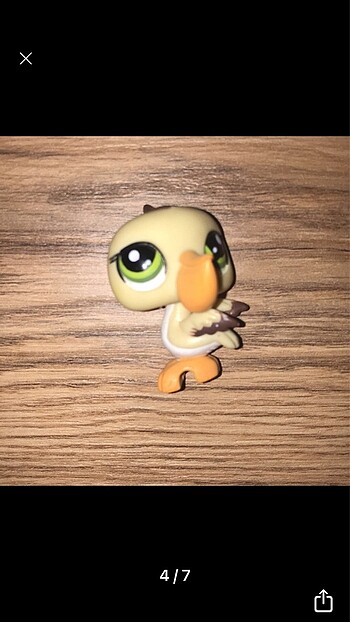  Beden Renk LPS Miniş Set