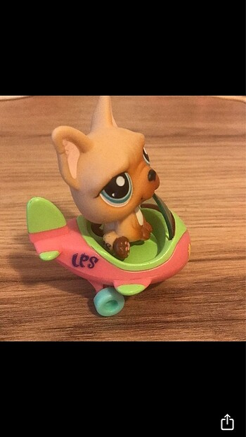  LPS köpek Miniş