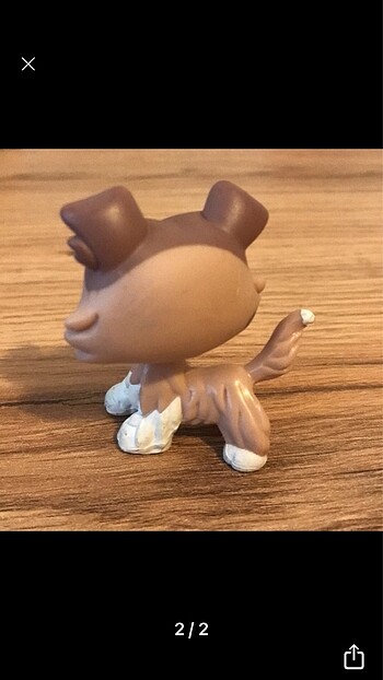  Lps köpek miniş