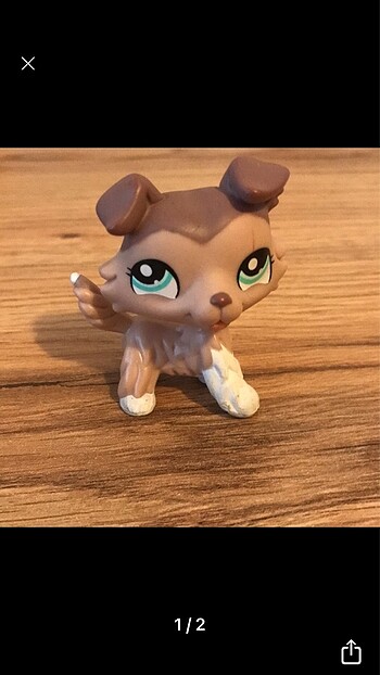 Lps köpek miniş