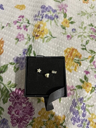 Tragus