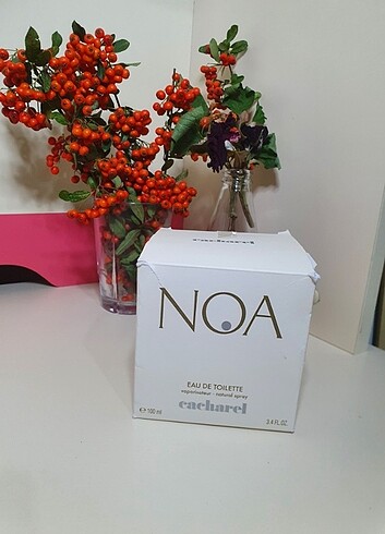 Beden CACHAREL NOA