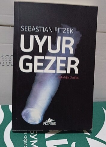 Uyur gezer