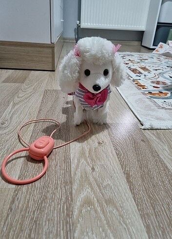 Yürüyen kavru köpek kumandali