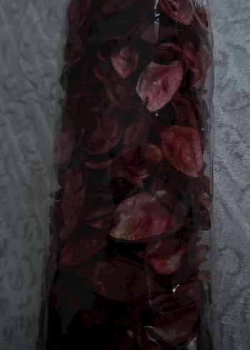 Bordo gül kurusu - Görsel 2