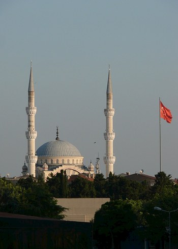 Panasonic Lumix DMC-FZ50 fotoğraf makinesi - Görsel 9