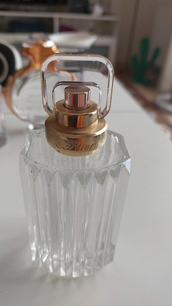 Carter Carat