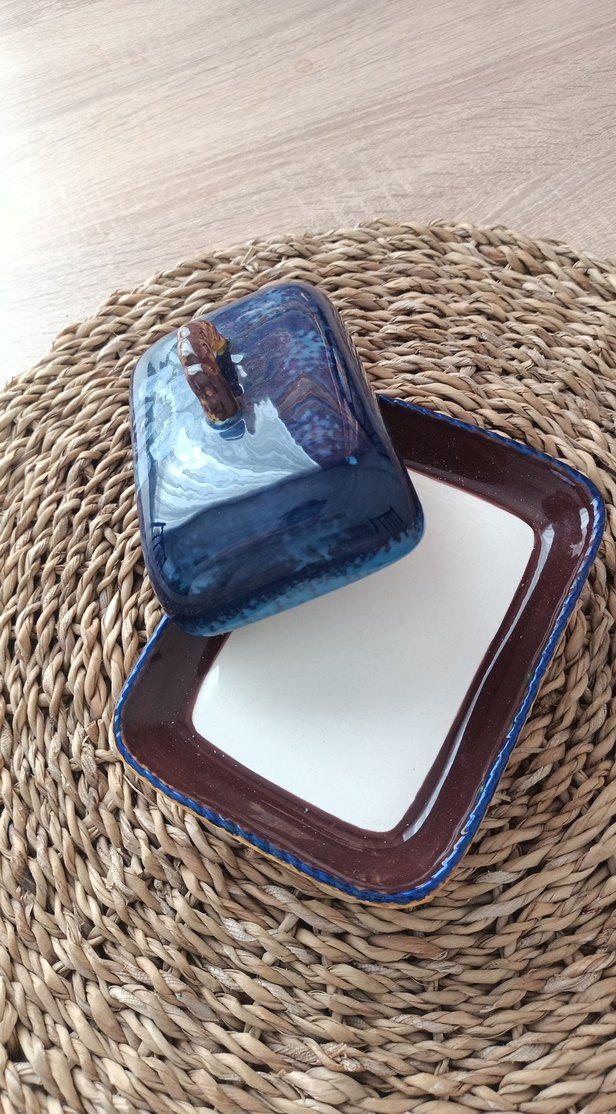 Koyu Mavi Yılan Desenli tereyaglik - Görsel 2