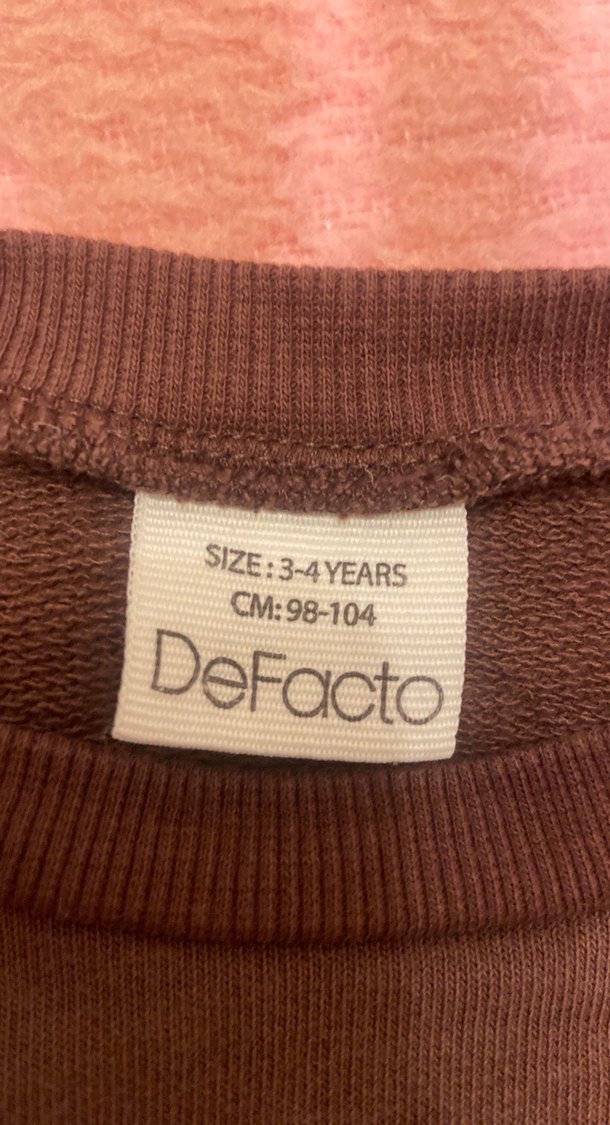 Kahverengi Erkek Çocuk Uzun Kollu Sweatshirt - Görsel 3