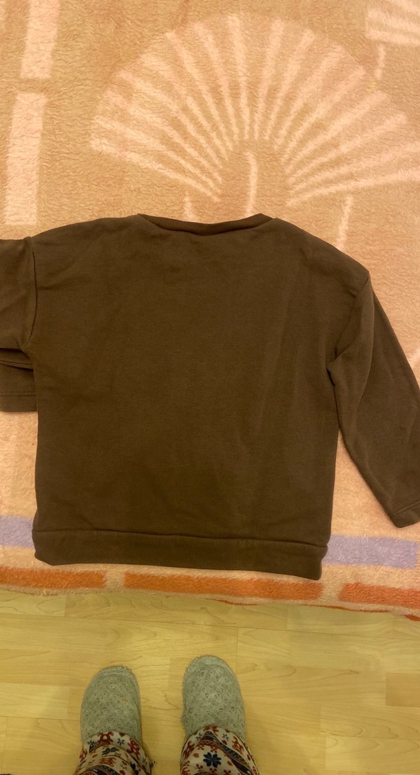 Kahverengi Erkek Çocuk Uzun Kollu Sweatshirt - Görsel 2