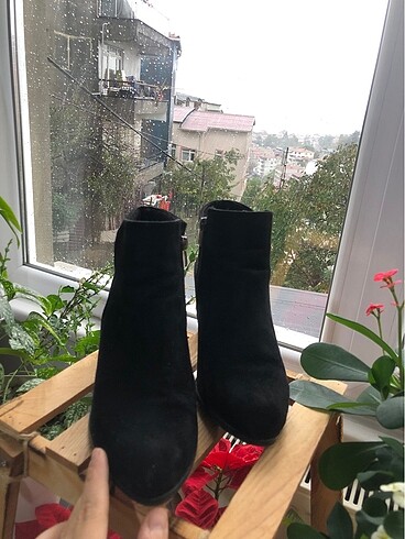 Süet bot