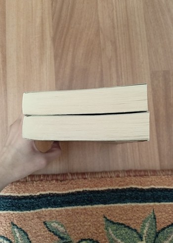 Beden Renk müjde aklanoğlu kitapları