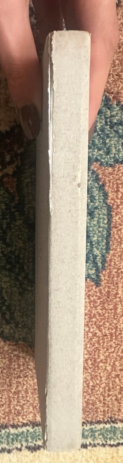 Anastasia Beverly Hills modern renaıssance far paleti - Görsel 2