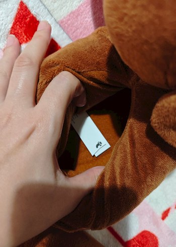 Sosis Köpek Panduf 39-40 No Flyin Tiger - Görsel 5