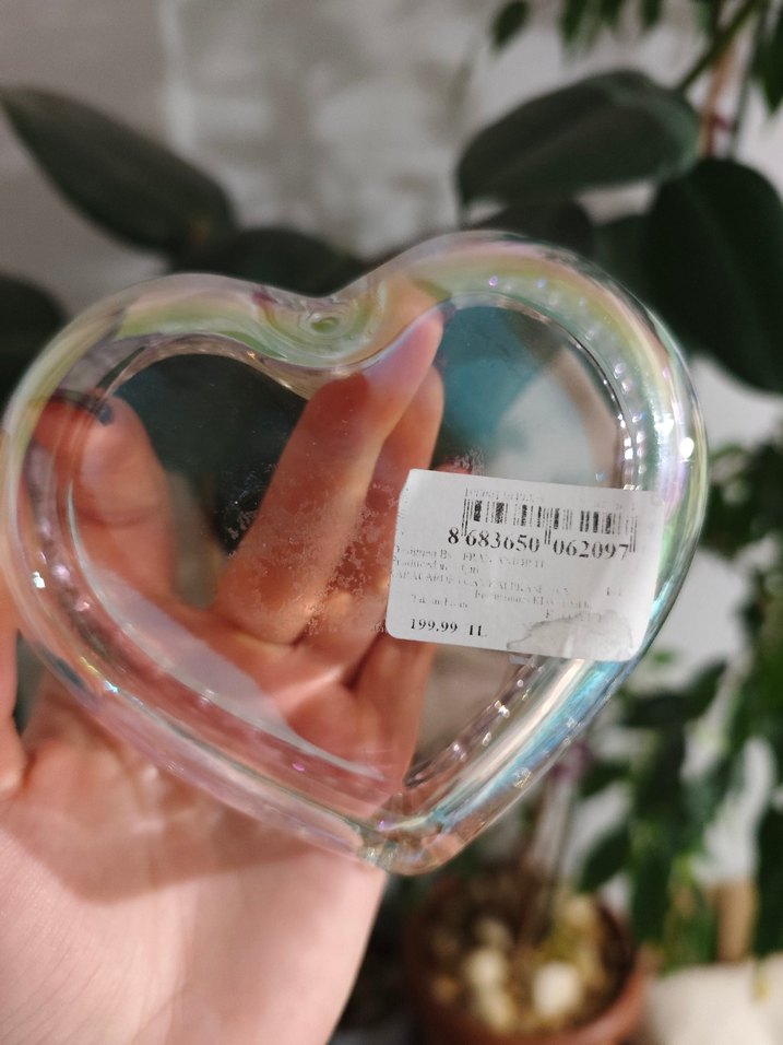 Renkli Kalp Şeklinde 2 Kase - Görsel 5