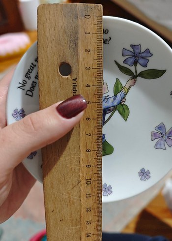 Cicely Mary Barker - Görsel 4