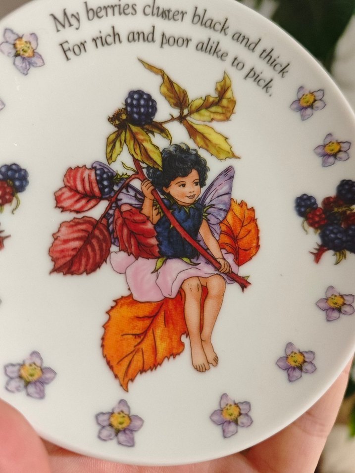 Cicely Mary Barker - Görsel 2