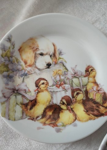 Diğer Pastel Baskılı Beyaz Tabak Seti