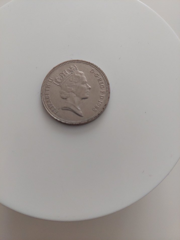 Gri Vintage Erkek Rozeti 1988 - Görsel 4