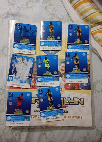  Galatasaray 2014-2015 Panini Kartlar