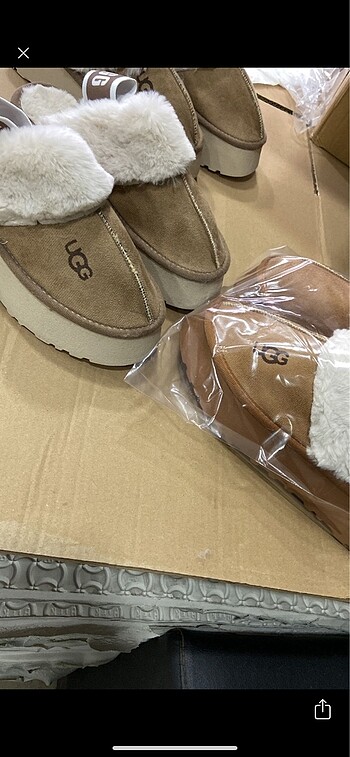 Ugg terlik