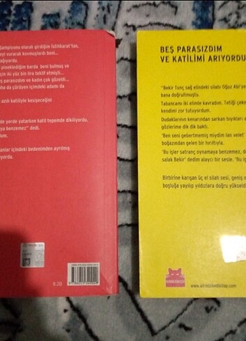 İki kitaptan oluşan set