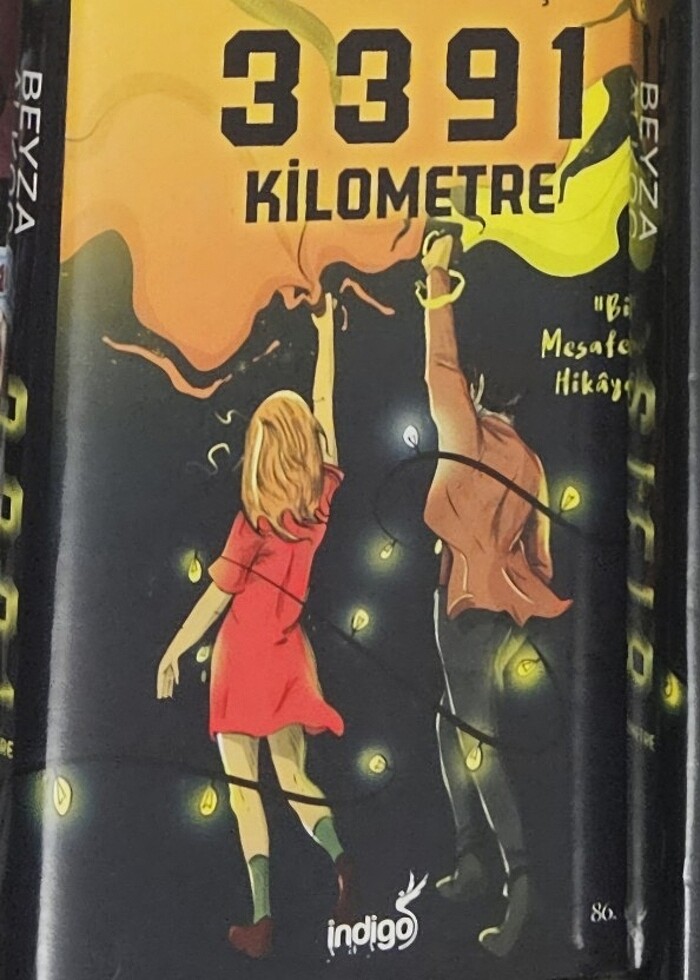 3391&0 Kilometre ciltli kitap - Görsel 2