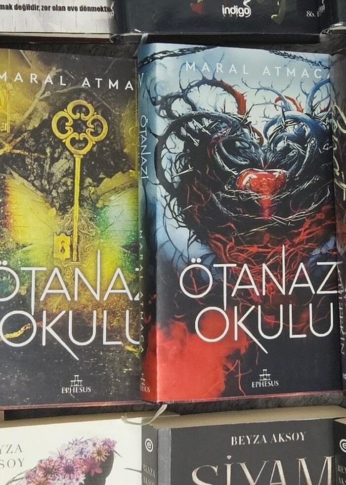 Ötanazi okulu maral atmaca 4 kitap ciltli - Görsel 2