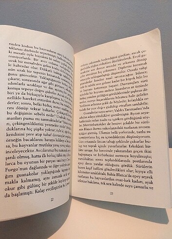  Beden Lapa Lapa Kelebek Yağıyordu