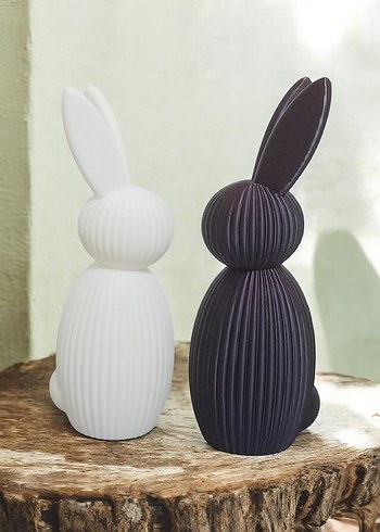 Beyaz ve Siyah Tavşan Figürleri - Görsel 2