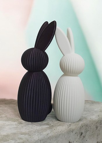 Beyaz ve Siyah Tavşan Figürleri - Görsel 3
