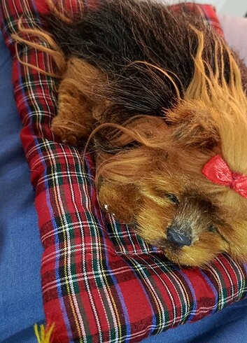  Beden Renk Minderde uyuyan köpek oyuncak peluş gerçekçi