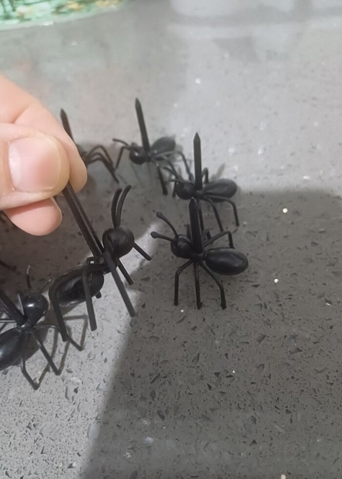 İkramlık yada meyve tutucu karıncalar  - Görsel 2