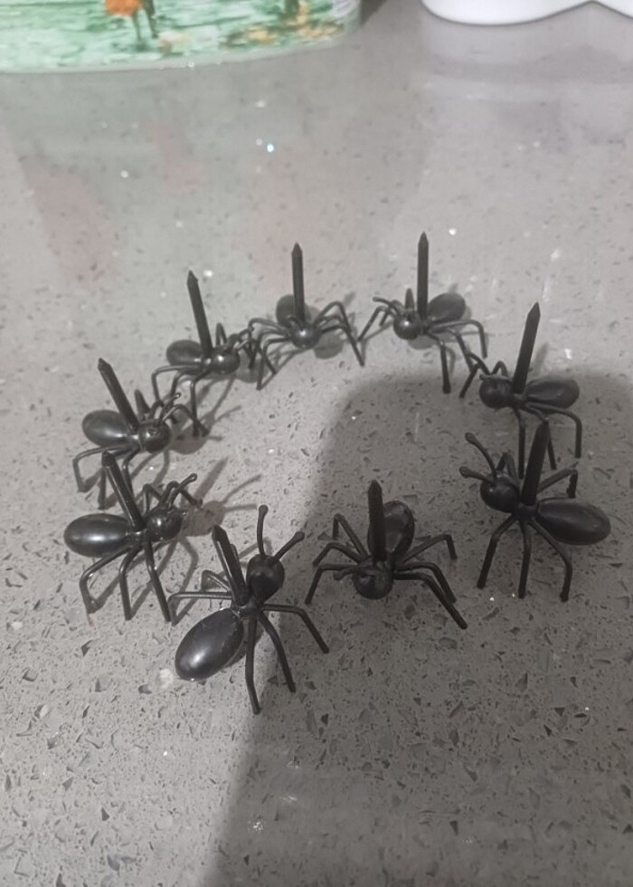 İkramlık yada meyve tutucu karıncalar  - Görsel 3