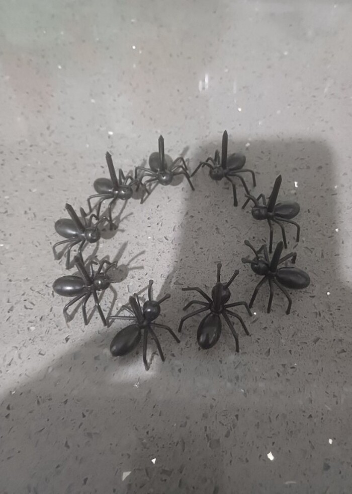 İkramlık yada meyve tutucu karıncalar  - Görsel 4