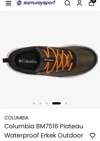 Columbia 40