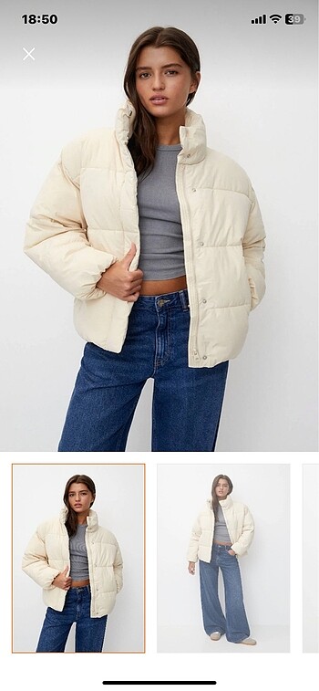 Pul bear mont